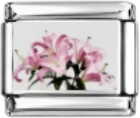 Charm 35